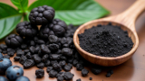 Top 7 Science-Backed Health Benefits of Shilajit Resin